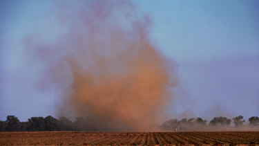 Wind whips up the dust over a dry farm in the Deniliquin region. 