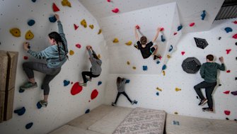 The Chapman family from Penrith have built a climbing wall in their back shed which they have used regularly during lockdown.