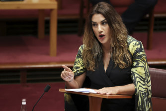 Greens senator Lidia Thorpe says she has been shocked by the attitude of some men in Parliament House towards women.