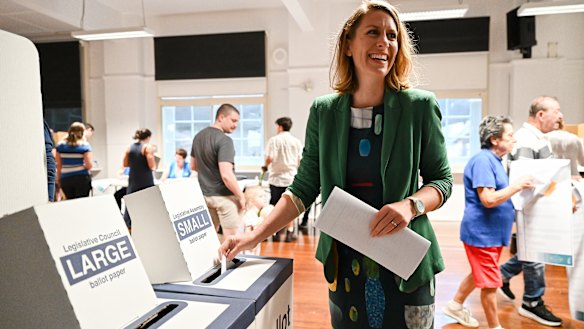 Greens MP Kobi Shetty says the suggestion Local Government Minister Ron Hoenig interfered to “further the interest of the NSW Labor Party” should be investigated.