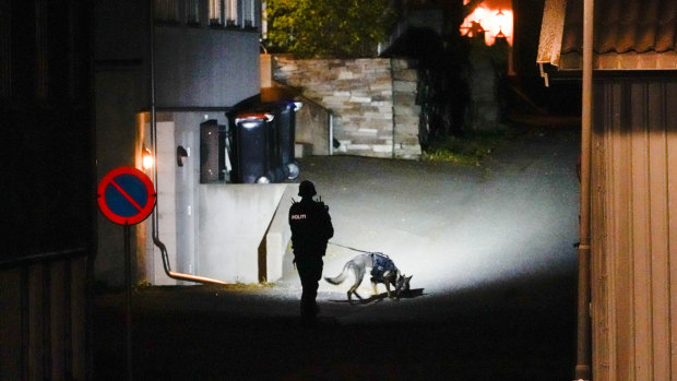 Police at the scene after an attack in Kongsberg, Norway.