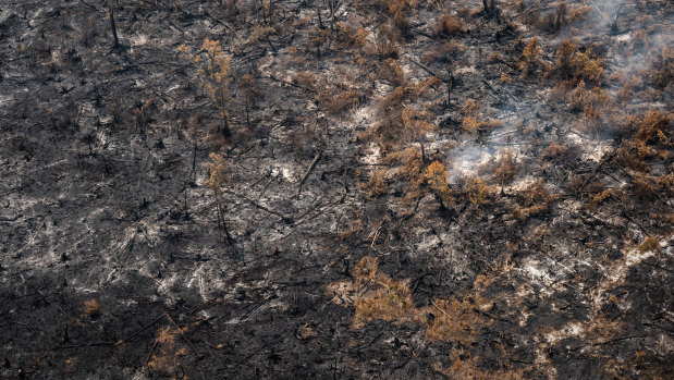 Aerial view of peatland and forest fires burning in Central Kalimantan, Indonesia, on Saturday.