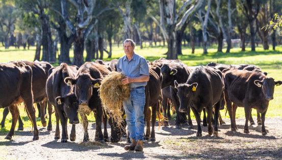 Former Nationals MP Bill Sykes flew to the UK in 2001 to help contain the foot and mouth disease outbreak.