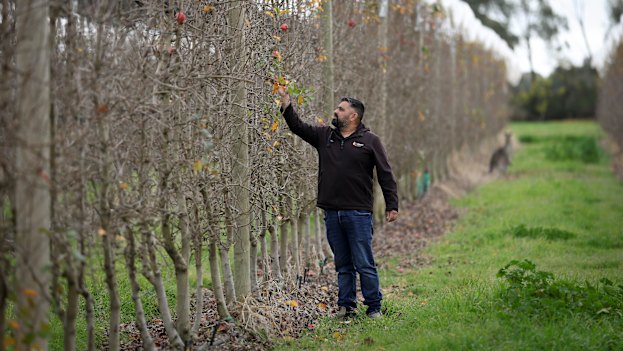 Sunny Uppal at his orchard in Shepparton.