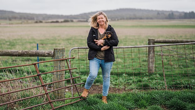 There is a preponderance of dogs big and small on the farm, with Archer holding Tank, one of the family’s new border collie-kelpie puppies.