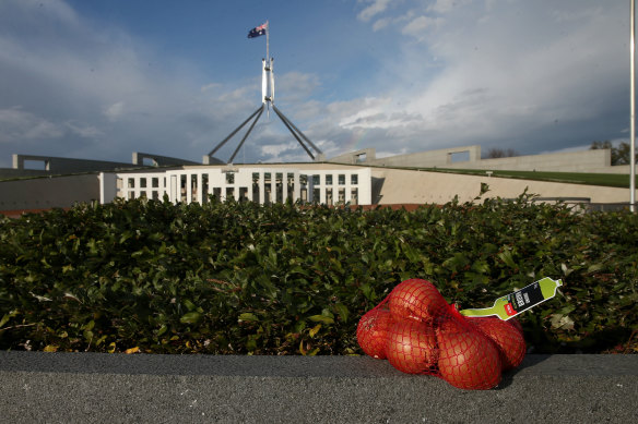 A 1 kg bag of brown onions left at the front of Parliament House as a social media reaction to #putyouronionsout after Tony Abbott was dumped as Prime Minister, on Tuesday 15 September 2015. 