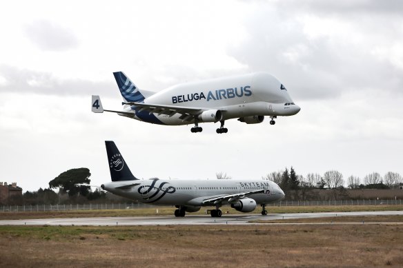 An Airbus Beluga landing at Toulouse.
