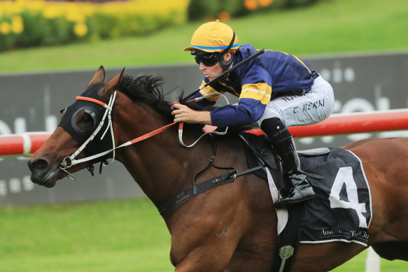 Master Of Wine remains on target for this year's Caulfield Cup.