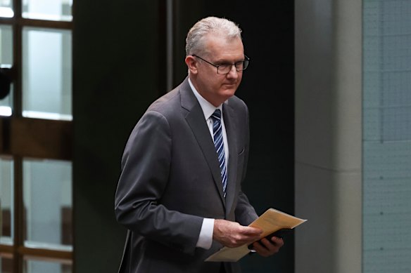 Home Affairs Minister Tony Burke. 