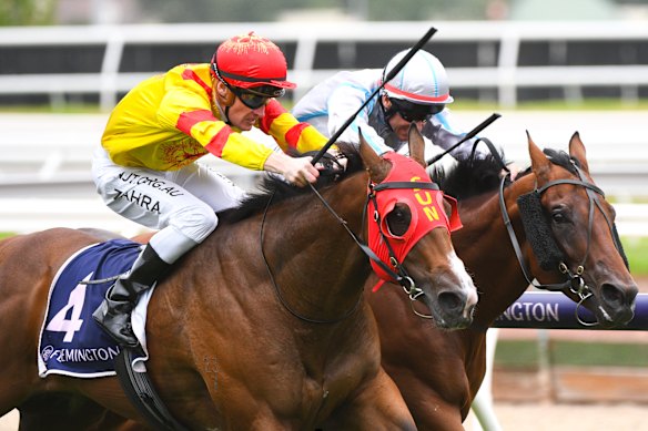 Victorian racing resumes after virus scare, with new transport protocols