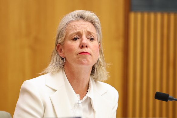 Senator Bridget McKenzie in parliament  on Monday.