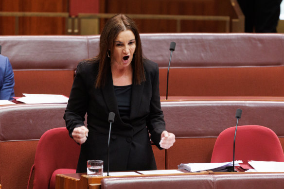 Senator Jacqui Lambie speaks in the Senate on Tuesday. 