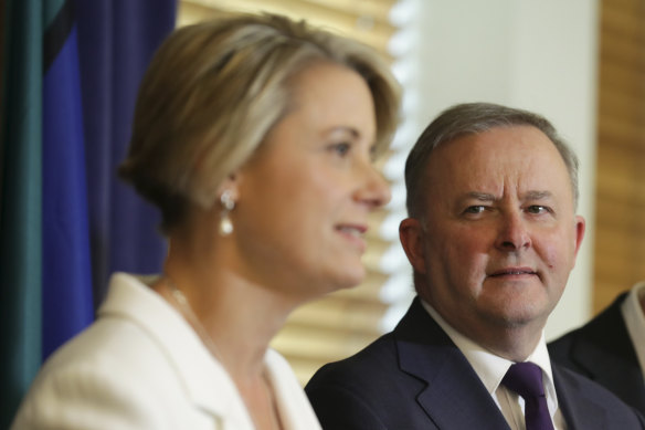Kristina Keneally’s decision to contest a lower house seat ignited a debate about ethnic diversity in the Labor Party.