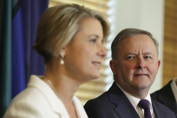 Kristina Keneally’s decision to contest a lower house seat has ignited a debate about ethnic diversity in the Labor Party.