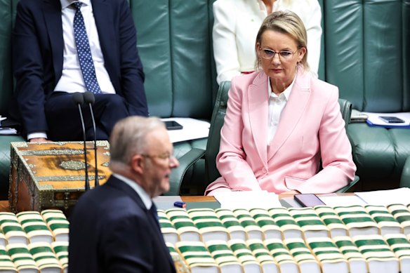 Opposition Leader Sussan Ley facing Prime Minister Anthony Albanese during question time on Wednesday. 