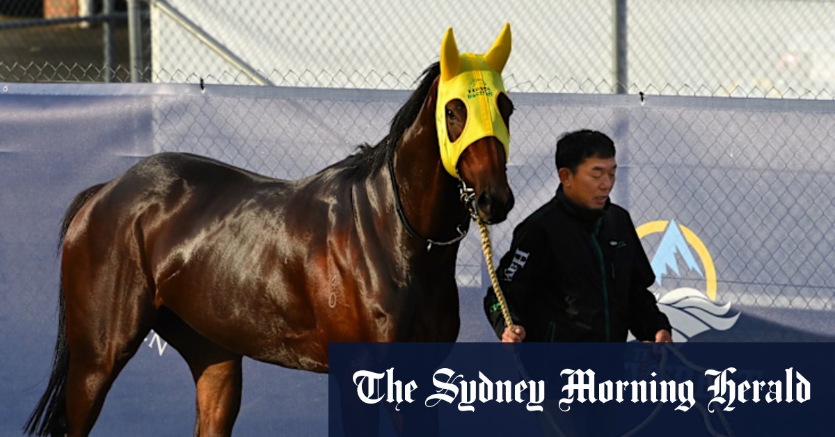 ‘They all need to improve’: Ka Ying Rising trainer’s warning to Everest rivals