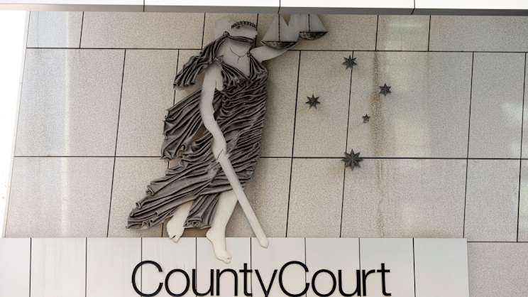 theage.com.au - Cameron Houston - 'Soul-crushing': Rapist's 'good character' retrial highlights call for urgent law change