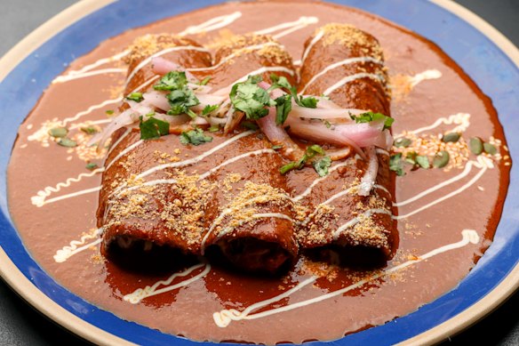 Chicken enchiladas in pipian sauce.