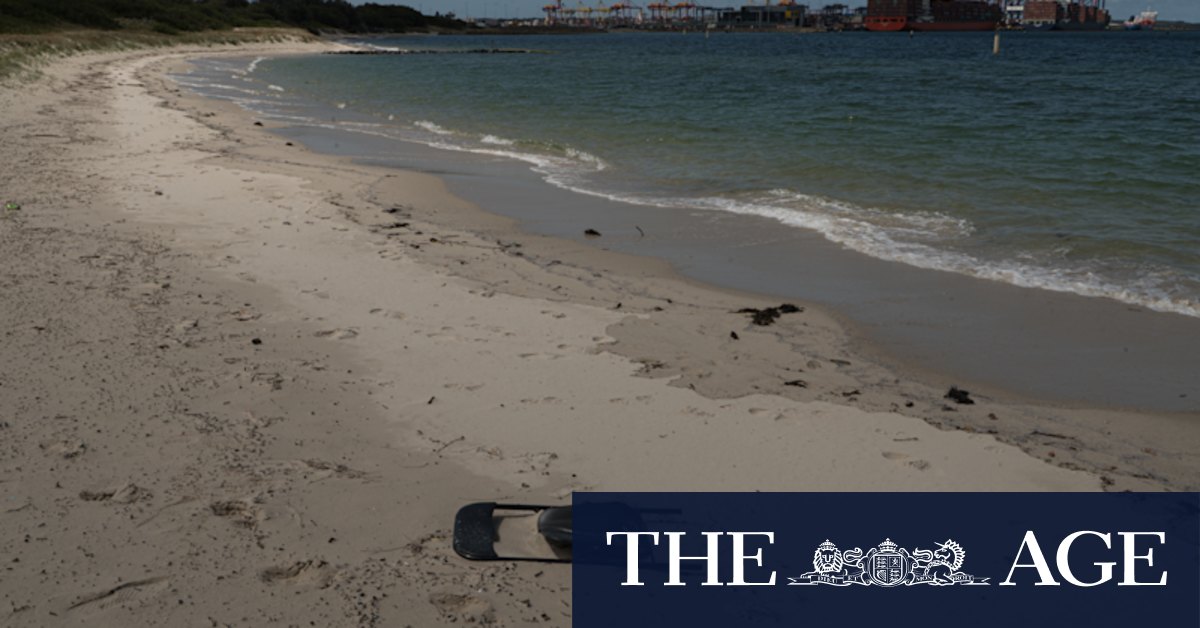 State of the Beaches report reveals NSW's worst - Vimarsana News