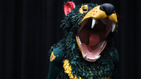 Rum’un, the Tasmania Devils’ club mascot is at risk of extinction because of dramas in the state’s parliament.