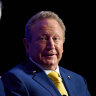 Fortescue Metals Group chairman Andrew Forrest.