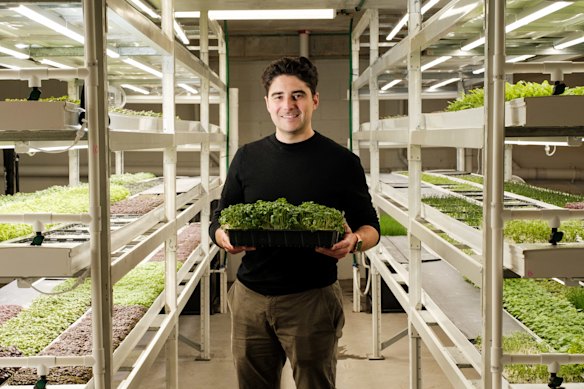 Produce wholesaler Julian Parisi says leafy greens are best in autumn. 