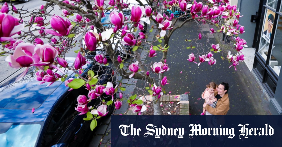 ‘Blissonance’ effect as Melbourne’s early spring signals hot, dry summer