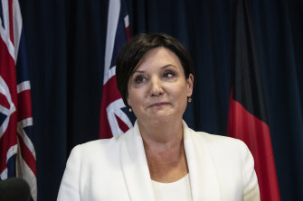 Former NSW opposition Leader Jodi McKay.