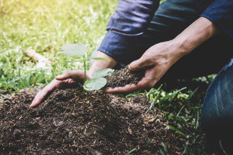 Action is the antidote to climate anxiety and climate grief.