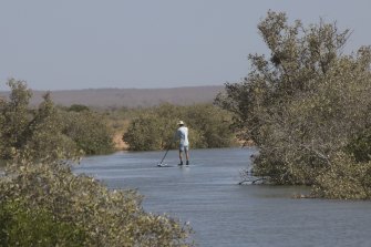 Marine scientist Andrew Davenport surveying animals and habitat in Exmouth on a paddleboard.