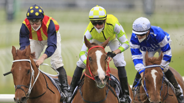Jockey Nash Rawiller and Eduardo (centre) get the better of James McDonald and Nature Strip in The Shorts last month.