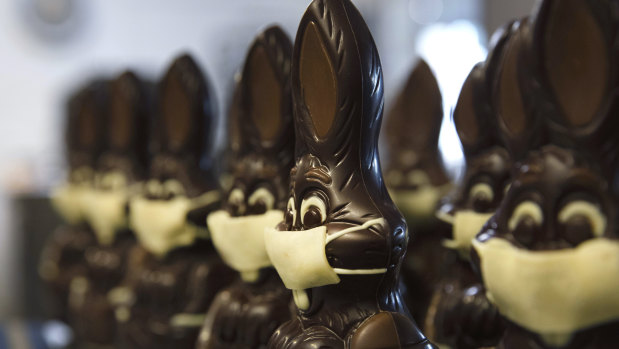 Chocolate rabbits with face masks are lined up at the Cocoatree chocolate shop in Lonzee, Belgium. 