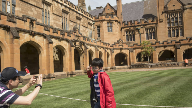 Last year nearly one in four of all students enrolled at Sydney University were Chinese.