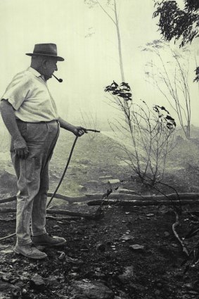 Mr. Arthur Hoskins uses a garden hose outside his home at the height of the bushfires on November 27, 1968.