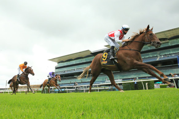 Racing is back on the Kensington track at Randwick on Wednesday.