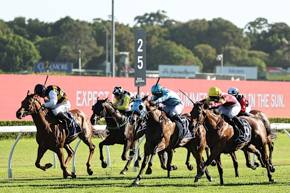 Zac Wadick wins on Inquiring Minds, left, at Randwick on December 28.