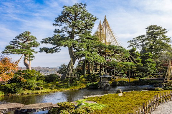 Kenrokuen Gardens and yukitsuri, a traditional technique that uses ropes to protect trees from the weight of snow.