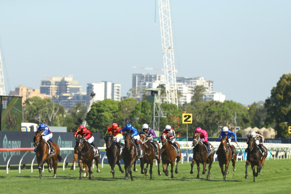 The Rosehill surface raised questions on Saturday with winners including Anamoe avoiding the fence.
