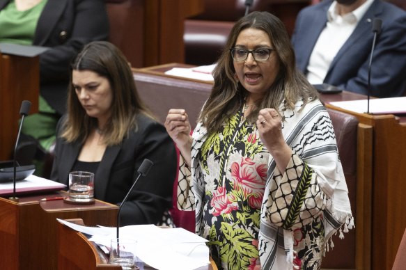 Greens senator Mehreen Faruqi in parliament.