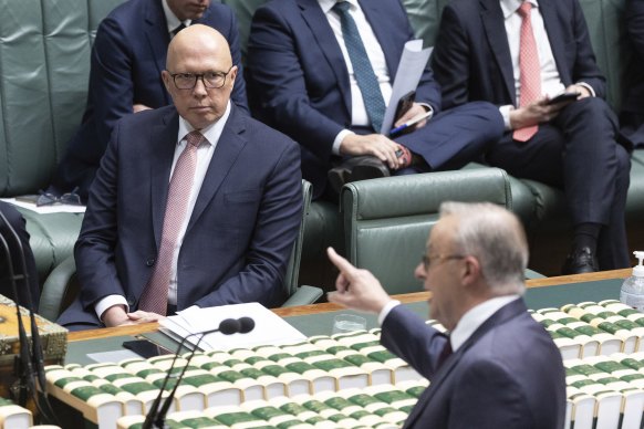 Opposition Leader Peter Dutton and Prime Minister Anthony Albanese during Question Time on Wednesday.