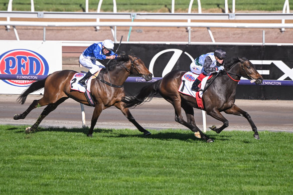 Makybe Stakes winner Mr Brightside (1) is chasing a Cox Plate win.