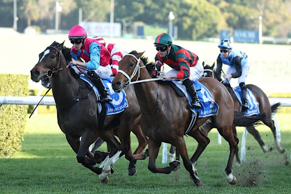 Headwall winning the Concorde Stakes last year.