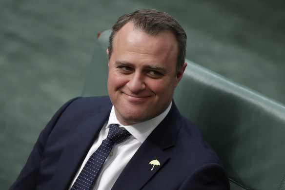 Former Liberal federal MP Tim Wilson successfully weaponised the issue of franking credits in 2019.