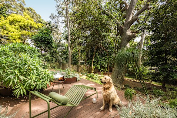 The facility is a world in itself, with a lush and vibrant garden. 