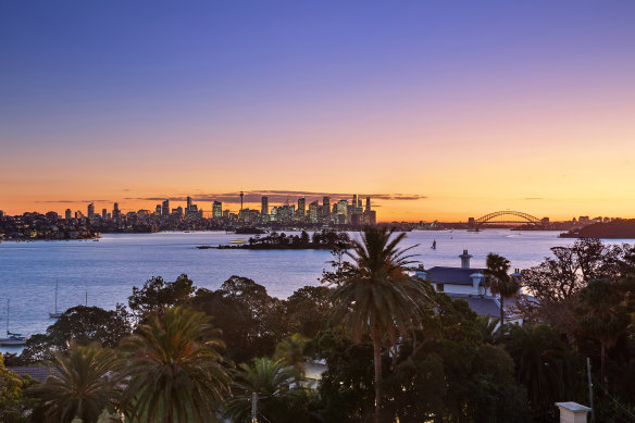 The view from the Balagiannis family’s Vaucluse residence before the palm at the centre of it was chopped down.