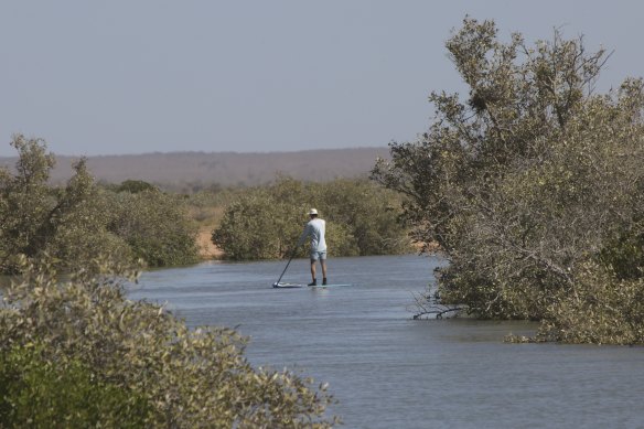 Marine scientist Andrew Davenport surveying animals and habitat in Exmouth on a paddleboard.