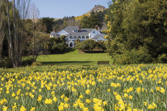 Daffodil discount… Otahuna Lodge, New Zealand.