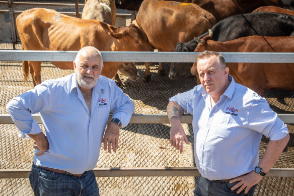No quick fix: Meramist managing director Mike Eathorne and general manager Adam Hill were at the centre of last year's horse slaughter scandal.