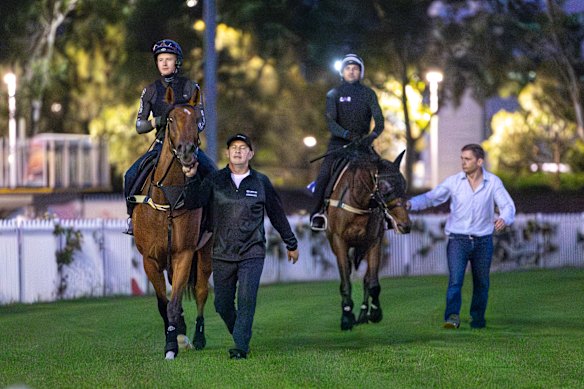 James McDonald, Chris Waller and Autumn Glow at track work on Wednesday.
