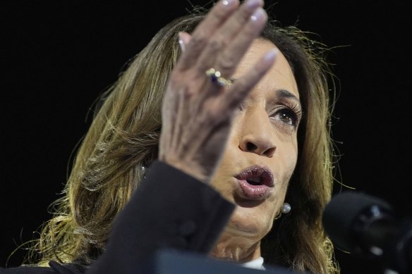 The state of the economy ought to have given Kamala Harris positive story to tell.